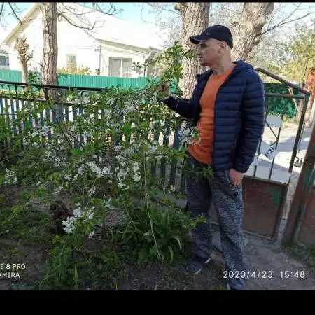 Ivan, 57Хайфа 