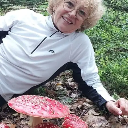 EVEGNIA, 66Реховот 