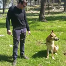 anton, 35Афула 