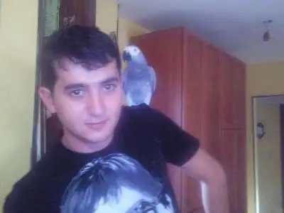 david, 37Сдерот 