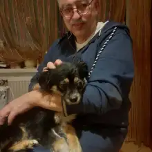 Фото Геннадий 2 Мой верный друг!